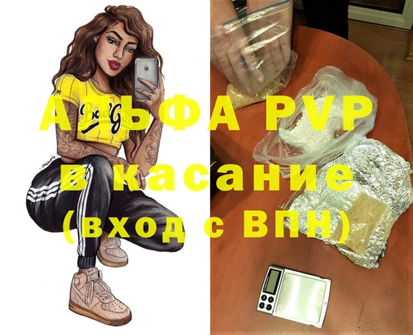 стаф Абаза