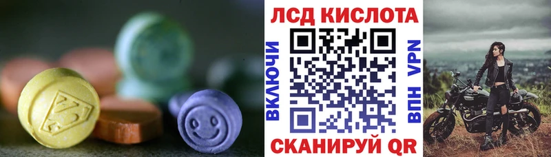где найти наркотики  Кедровый  Лсд 25 экстази кислота 